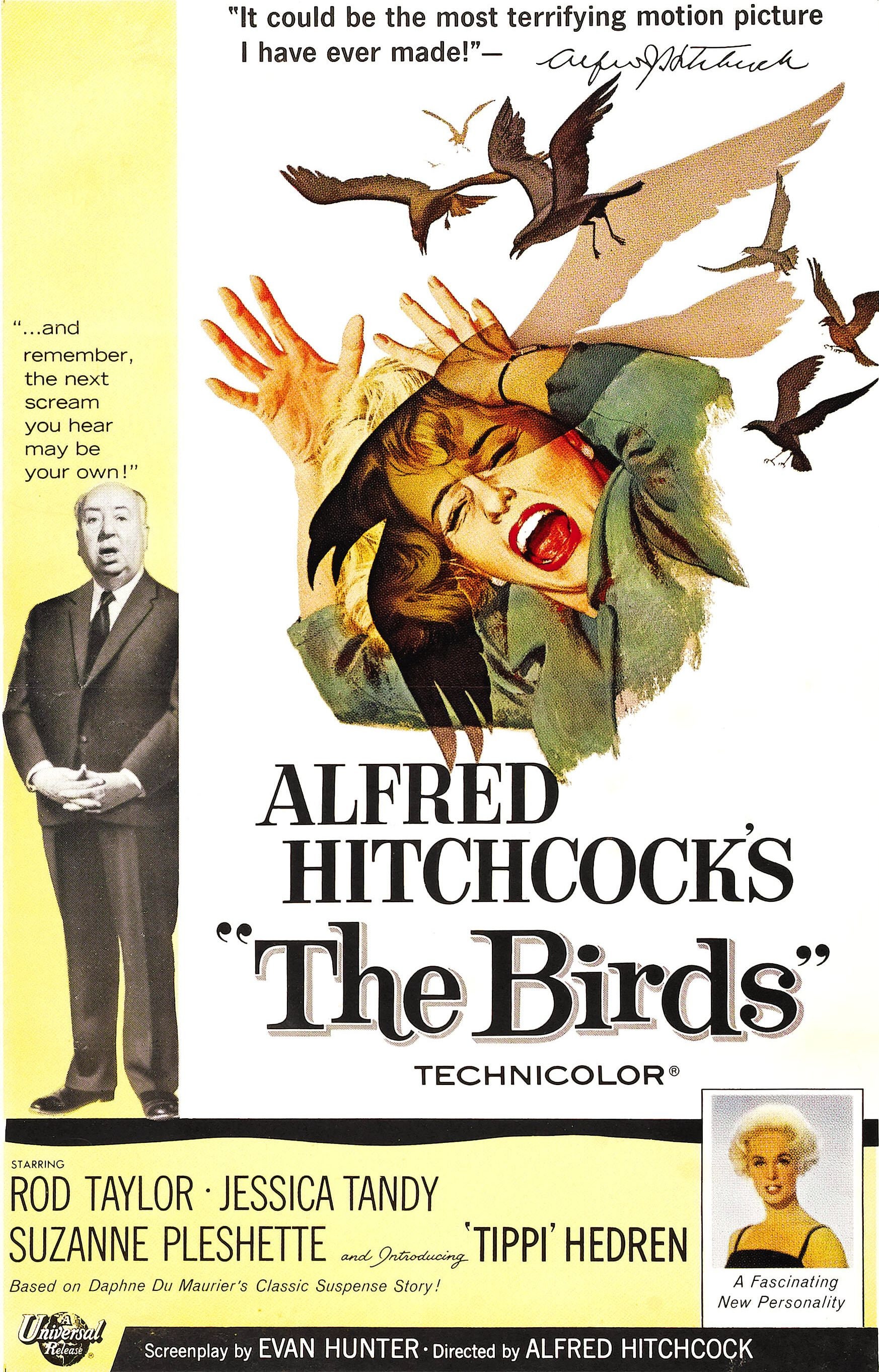Die Vögel Alfred Hitchcock Vintage Film Poster drucken 19 x 13 Etsy.de