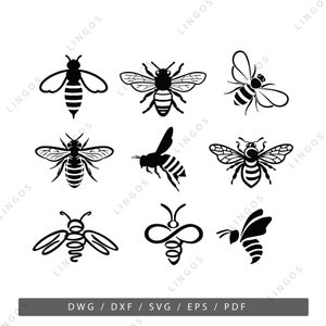 Honey Bee SVG Vector Bundle: Spring & Summer Cut Files (Digital)