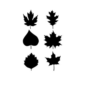 May include: Silhouettes of six different leaf shapes, including maple, oak, and heart-shaped leaves. The leaves are black against a white background.
