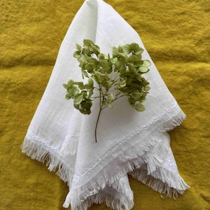 Raw fringed linen napkins with embroidery.