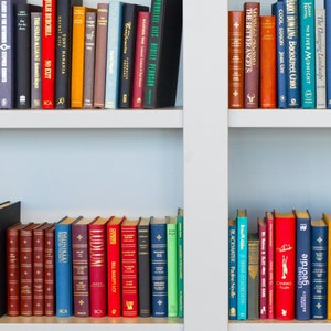 May include: A bookshelf with two shelves filled with a variety of colorful hardcover books. The books are arranged in rows and are all different sizes and shapes. Some of the books have titles visible, such as "The Lion's Way" and "Ripley Bogle".