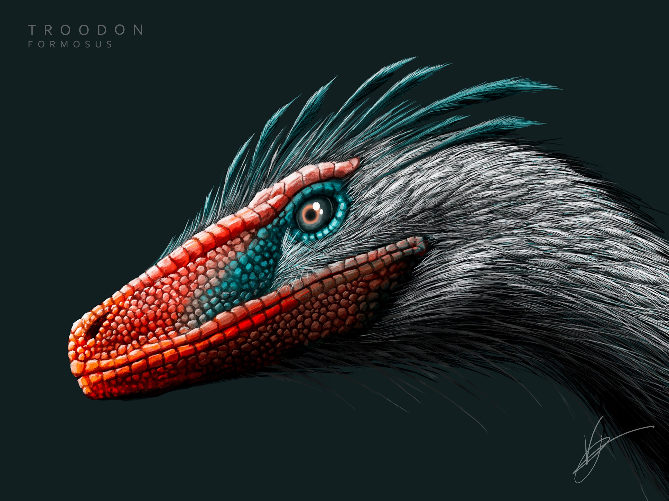 Completed - Troodon, Page 2