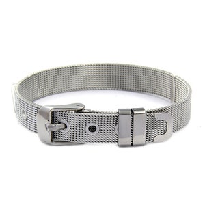May include: A silver metal mesh bracelet with a buckle closure.