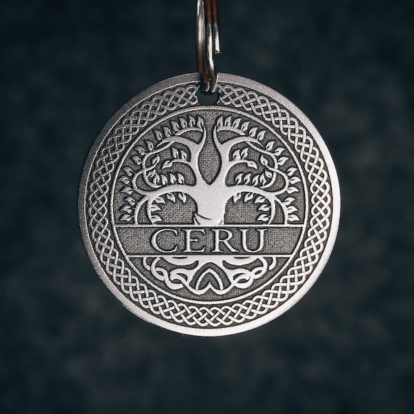 Médaille d'identification ronde personnalisée pour chien Viking - Médaille d'identification pour chien en acier inoxydable avec nom gravé, médaille de collier personnalisée et porte-clés