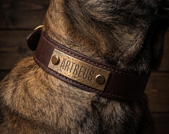 Placa de identificación personalizada de latón martillado para collar de perro – Etiqueta de cuero grabada silenciosa para collar