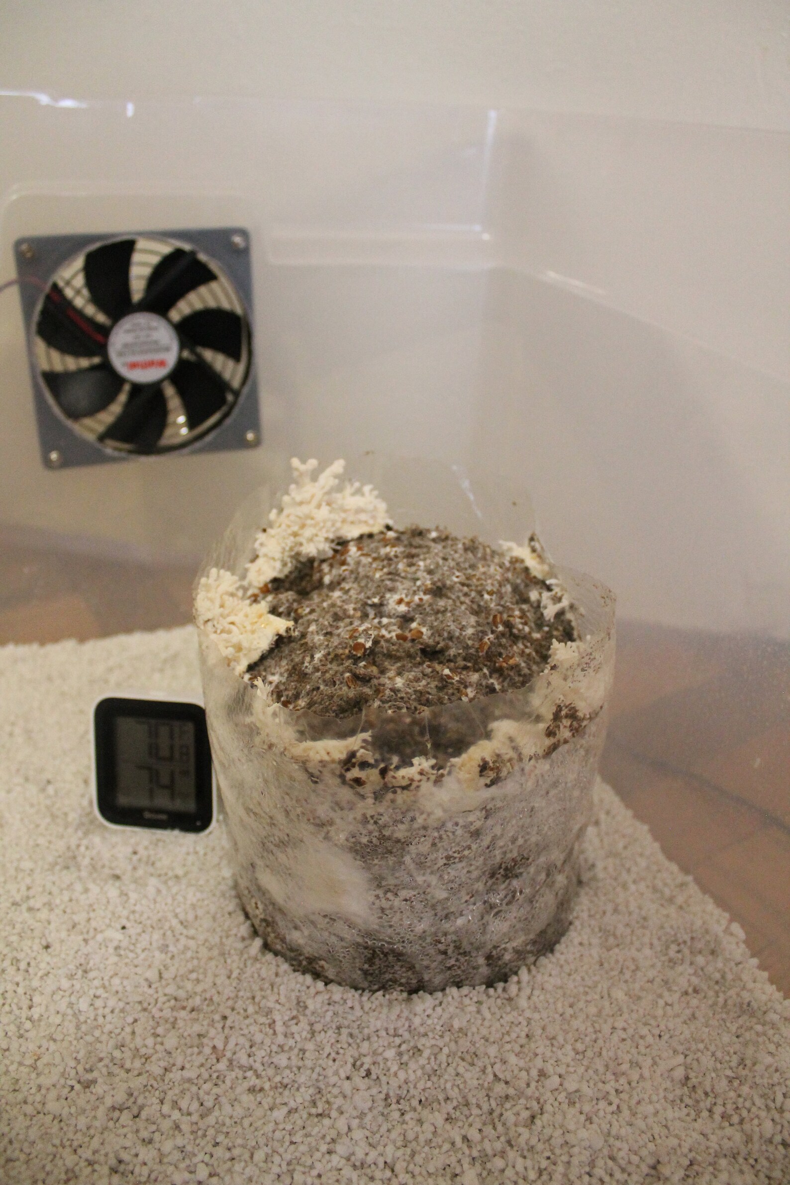 Unicorn Mushroom Bags 10T Set of 10 Etsy