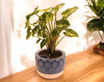 3D Printed Plant Pot: Geometric Self Watering Planter with Saucer