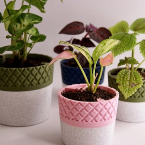 3D-geprinte plantenbak: tweekleurige zelfwatergevende pot met rooster