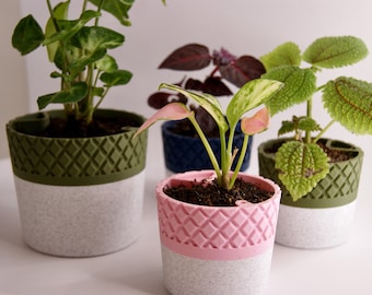 3D Printed Planter: Two-Tone Lattice Self-Watering Pot