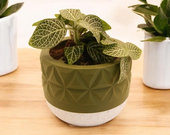 3D Printed Plant Pot with Self-Watering Reservoir: Eco-Friendly Planter