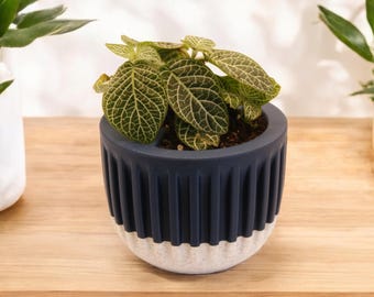 3D Printed Plant Pot: Two-Tone Ribbed Self-Watering Planter