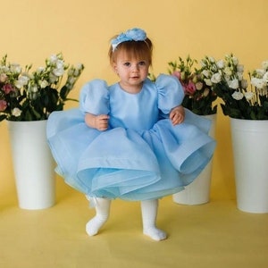 First Birthday dress blue or pink or others colors Baby Girl first Birthday dress Lt Blue puffy birthday babys outfit Photoshoot baby dress