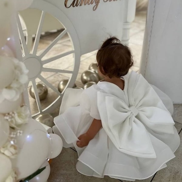 First Birthday Baby Dress Flower Girl Dress Baby White Birthday Dress Short Puffy Baby Dress Toddler Party Gown Photoshoot Girl White outfit