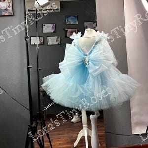 Light blue baby dress, Blue Flower girl dress, light spring dress, Girl birthday dress, Wedding gest dress, Special occasion tulle dress
