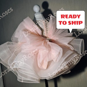 1st birthday dress blush, Baby tulle dress, One year dress, Party wear, Girl tutu dress, Special occasion baby photoshoot, Ready to ship