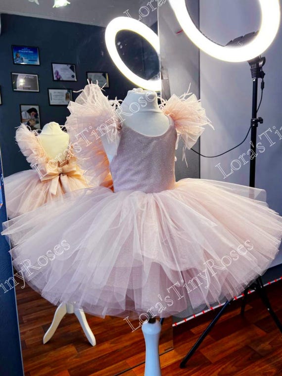 First birthday dress, Baby blush rose dress, Toddler glitter pageant dress, Party Baby dress, Flower girl dress, Baby tulle puffy dress