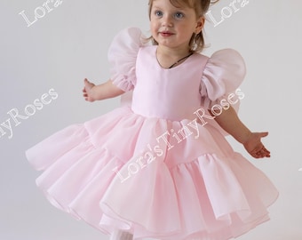 1st Birthday dress for toddlers, Flower Girl dress, light pink baby dress, Princess dress, Special Occasion dress, Pageant tutu dress