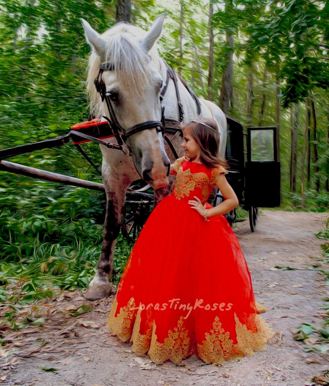 Baby Birthday Red Dress with Goldy Lace Train, Red Formal Dress for Girl, Toddler Red Dress with Gold Lace Train, Prom Ball Gown, Photoshoot