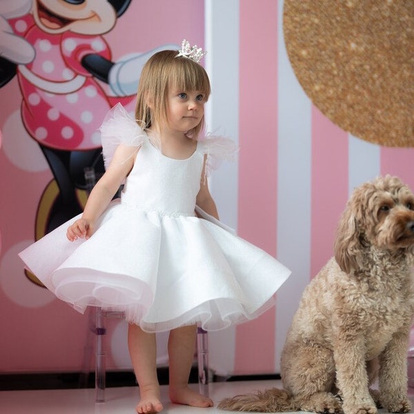 First Birthday White Dress Shimmering Birthday Dress with Crystal and Feathers White Flower Girl Dress Wedding Baby Dress Shiny Toddler Gown