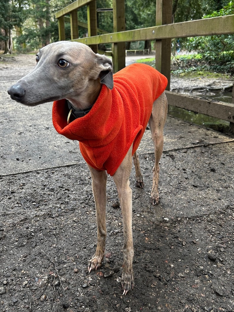 Whippet Vest Dog Fleece Rust