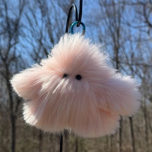 May include: A fluffy, light pink star-shaped plush toy with two small black eyes. The plush is suspended from a black metal ring with a blue carabiner clip, set against a blurred background of trees and sky.