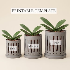 May include: Three gray cylindrical plant pots with vertical cutouts and matching saucers, labeled Small, Medium, and Large. Each pot contains a green orchid plant with dark potting medium. The text PRINTABLE TEMPLATE appears at the top.