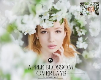 57 Apple tree blossom spring summer white branch overlays, painted photo layer, Blur Photo for Photographers, falling petals, png