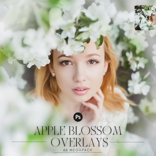 57 Apple tree blossom spring summer white branch overlays, painted photo layer, Blur Photo for Photographers, falling petals, png