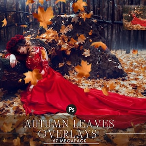 Autumn Leaves Photo Overlays: 67 PNG Backgrounds (Digital Download)