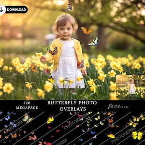 120 Butterfly photo overlays &quot;Flutter by Butterflies&quot;, spring & summer photo overlays for Photoshop, portrait, kids, family photography