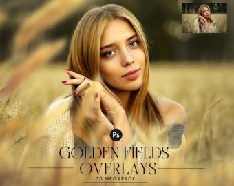 50 Golden Fields Field Photo Overlays, flower summer spring overlays, digital backdrop, background, art frame, Cornfield, wheat, png file