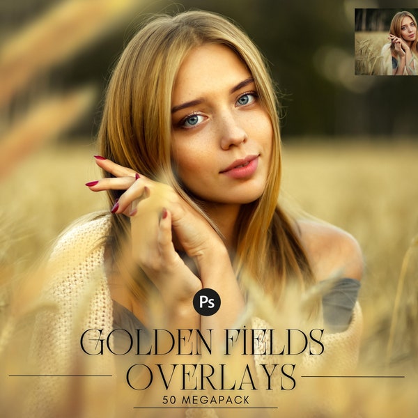 50 Golden Fields Field Photo Overlays, flower summer spring overlays, digital backdrop, background, art frame, Cornfield, wheat, png file
