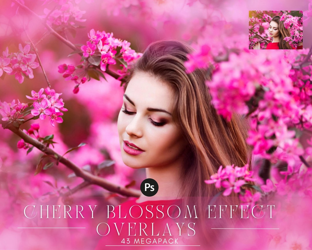 43 Cherry Blossom Effect Overlays Flowers Effect Overlayscapcut