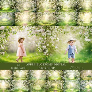 Apple Blossoms Photography Digital Backdrop: Spring Garden Scene (JPG Files)