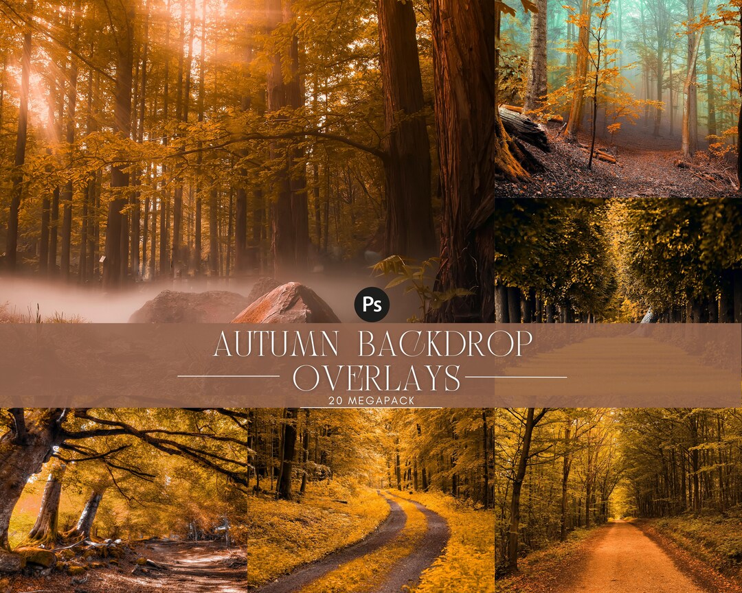 Autumn Forest Photography Backdrops: Fall Nature Scenes (digital ...