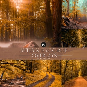 May include: A set of 20 digital autumn forest backdrop overlays for Photoshop. The overlays feature a variety of autumnal scenes, including trees with colorful leaves, paths through the woods, and fog.