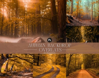 Autumn Forest Photography Backdrops: Fall Nature Scenes (Digital Download)