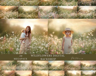 Wildflowers meadow, maternity backdrop, for portraits, golden hour, rustic composite, photoshop overlay (JPG)