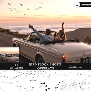 May include: A white convertible car with a couple inside driving on a road with a sunset in the background. A flock of birds is flying in the sky above the car. The text "Bird Flock Photo Overlays" is written on the image.