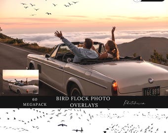Bird Flock Photo Overlays, Transparent PNG, Commercial Use, Transparent Background, Digital Backdrop, Photoshop Overlay, Instant Download