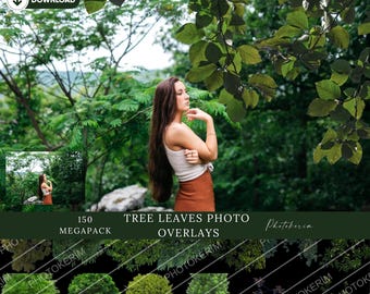 木の葉の前景：奥行きのある写真オーバーレイ、屋外ポートレート、Photoshop セット (PNG)