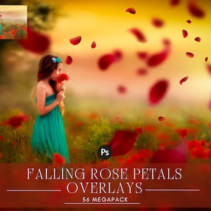 56 falling pink, red ,  white petals Photoshop Mix overlays, wedding, spring, romantic, magic, сherry petals, apple blossom, png file