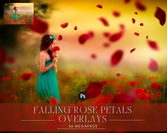 Falling Rose Petals: Photo Overlays for Wedding Romance, Valentine Glow Bokeh (PNG)
