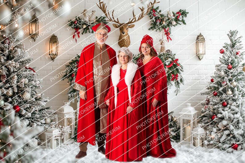 Christmas Backdrop for Family Portraits, Cozy Fireplace Living Room ...