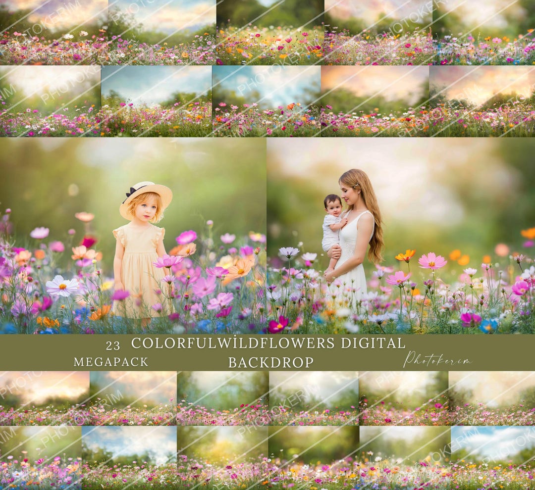 Colorful Wildflowers Digital Backdrop, Spring Meadow, Child Portrait ...