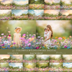 Colorful Wildflowers Digital Backdrop, Flower Field Background, Photography Backdrop, Spring Meadow Scene, Summer Floral Overlay