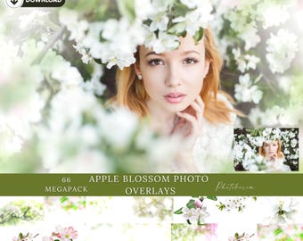 Pétales de fleur de pommier : superpositions de photos pour un effet bokeh floral, retouches de portraits printaniers (PNG)
