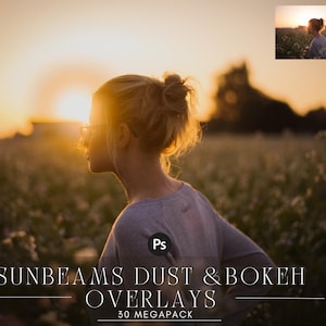 Sunlight Photo Overlays: Sunbeams, Bokeh, Dust (PNG & JPG)