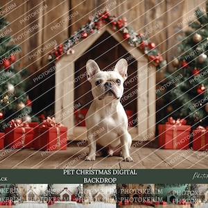 Christmas Pet Photo Backdrop: Winter Dog/Cat House (Digital Download)