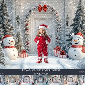 Snowman Christmas Digital Backdrop: Winter Snow Overlay (Digital Download)